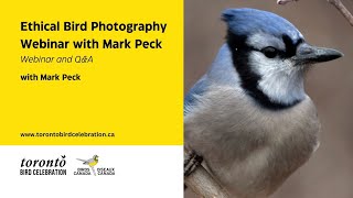 Ethical Bird Photography