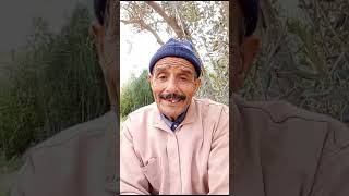 قصة الوالي الصالح👳‍♂️ أجمل القصص المشوقة/قصة شعبية رائعة وجميلة/#قصص_واقعية