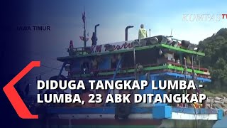 Buntut Video Viral Kapal Nelayan Tangkap Lumba-Lumba, 23 ABK Ditangkap