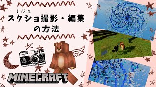 【マイクラ】スクショをきれいに撮影・編集する方法