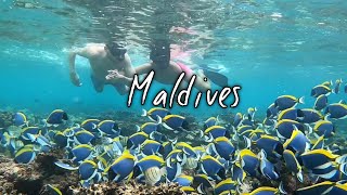 Making memories: things you must do in Maldives