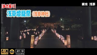 【歩き撮り】2023 浅草燈籠祭  浅草神社@東京 浅草 ４K  (21:9)  Tokyo walking video