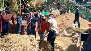 แข่งขันนวดข้าวงานบุญคูณลาน อ.โกสุมพิสัย มหาสารคาม 21 ธ.ค. 61