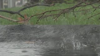 Getting Answers: why we are seeing so much rain and what's causing it