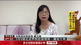 上月才野放！ 尋獲台灣黑熊遺體 「遭掩埋有外傷」 警介入偵辦