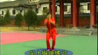 wushu Taolu Fudaolianxi 1 part 4