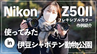 【使ってみた】Nikon Z50Ⅱのフレキシブルカラーピクチャーコントロールが楽しすぎる