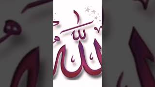 Islamic music status /pleasure and beautiful attracted sound/Islamic point of view