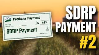 Sdrp Payment 2 Details