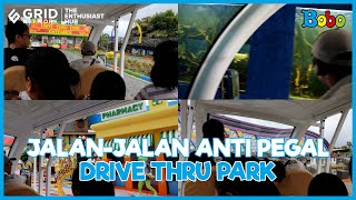 Drive Thru Park Batu Malang, Jalan-Jalan Anti Pegal | Wisata Malang Terbaru