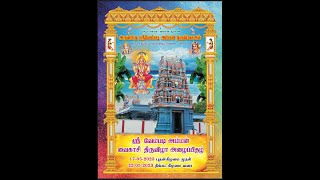 arulmighu  sri vembadi amman thiruvila