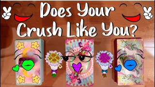 🌱🦄 DOES YOUR CRUSH LIKE YOU? 💜 Pick a Card Reading