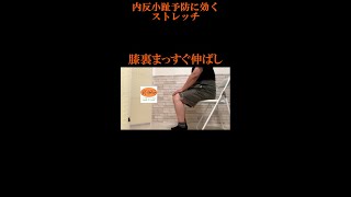 内反小趾予防に効くストレッチ【膝裏まっすぐ伸ばし】#shorts