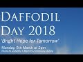 Daffodil Day 2018