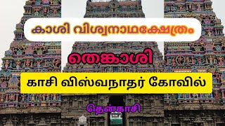 Kasi Viswanathar Temple, Tenkasi #templevideos #templevlog #tenkasi #tenkasitemple #kasi