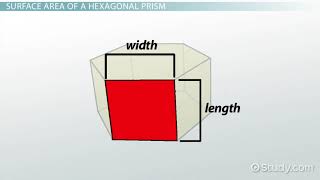 Hexagonal Prism Properties, Formula & Examples Video & Lesson Transcript Study com
