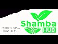 SHAMBA HUB