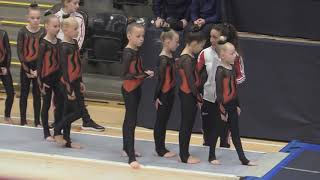 TeamGym Greve 2019 Micropiger 2 FM2 Tumbling