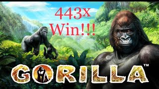 Novoline | Gorilla - Free Games (443x Win! Insane, Premiazo) Tragaperras