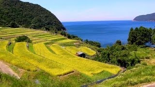 海沿いをゆく　福井県その２