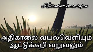 அதிகாலை சூரியனும் வயல்வெளியும்! ஆட்டுக்கறி வறுவலும் எலும்பு ரசமும் சொர்க்கம்!|TRIBES OF INDIA|TRIBES