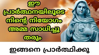 നടക്കണമെന്ന് നീ ആഗ്രഹിച്ച നിയോഗം അമ്മ സാധിച്ചു തരും   #kripasanam #kreupasanam #കൃപാസനം