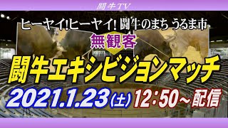 【1/23(日)生配信はこちら】ヒーヤイ！ヒーヤイ！闘牛のまち うるま市　エキシビジョンマッチ配信