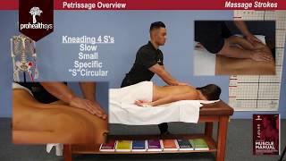 Awesome Massage   Pettrisage Overview Vizniak