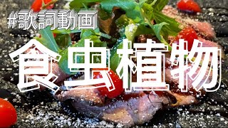 食虫植物 #capcut #capcutedit #歌詞動画