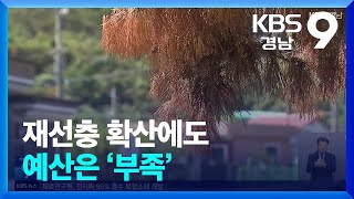 재선충 확산에도 예산은 ‘부족’ / KBS  2024.10.09.