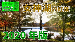 【長野の見どころ】女神湖の紅葉を見に行ってきた《2020年版》