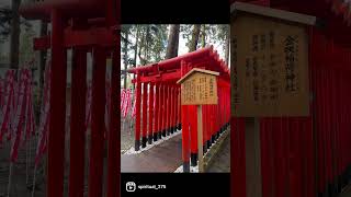 多賀大社 金咲稲荷神社 お稲荷さんの御加護で金運爆上がりします！#shorts #パワースポット #金運アップ #開運