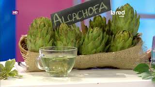 La alcachofa disminuye el ácido úrico en la sangre
