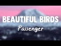 Beautiful Birds (Feat. Birdy) - Passenger(Lyrics Video)🛸