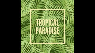Tropical Tech House- Dj Set
