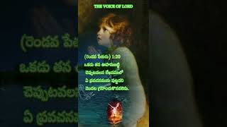 2 Peter(రెండవ పేతురు) 1:20