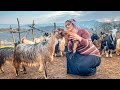 IRAN nomadic lifestyle _village style in the mountains