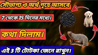 সৌভাগ্য ও অর্থ আসবেই আসবে (good luck and money will come soon)