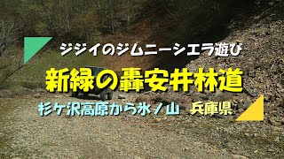 【ジムニー】シエラで新緑の轟安井林道を走ってきました（兵庫県）