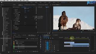 11.05.转场效果-多图层叠堆建立模糊转场 | Adobe Premiere 2020教程