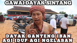 kemunculan panglima Dayak Iban terbaru