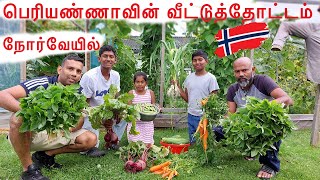 பெரியண்ணாவின் தோட்டம் |வீட்டுத்தோட்டம் |நோர்வே தோட்டம் | Norway garden tour |Norway garden | Garden