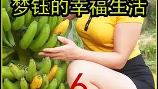 梦钰的幸福生活： 女人被恶毒婆婆赶到乡下，开启全新生活，今天为新建的厨房修灶台农村生活 荒野建造 田园生活