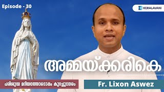 കൂട്ടായ് കൂടെ നടക്കുന്ന പരിശുദ്ധ മറിയം | അമ്മയ്ക്കരികെ | Fr. Lixon Aswez | Day 30