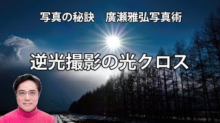 逆光撮影の光クロス