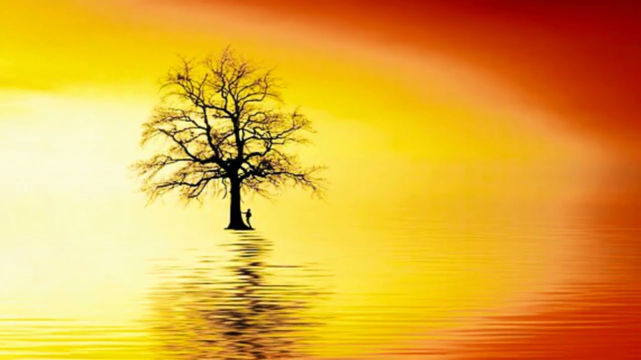 Instant Relief рџћ From Stress And Anxiety Detox Negative Emotions Calm