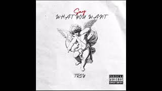 SAY WHAT YOU WANT - By TROY (Prod. Enks.)