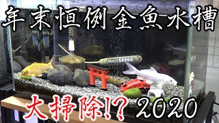 【アクアリウム・掃除】年末恒例金魚水槽大掃除！？2020 大掃除なのこれ！？