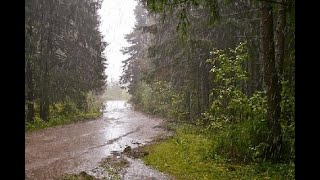 Rain Sound with Thunder SoundsㅣHeavy Rain for Sleep,Meditation,Study and Relaxation #RainSounds