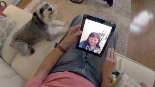 Dovetale: St. Joe's is Joining Compassion with Technology